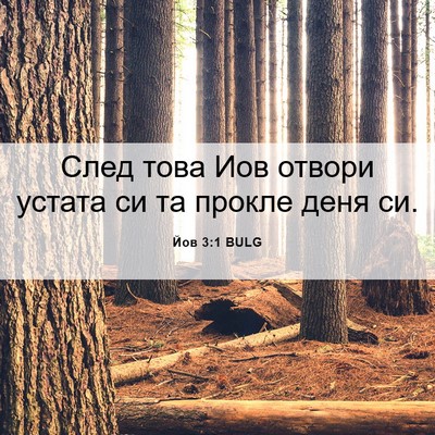 Picture 06 - Йов 3:1 BULG - След това Иов отвори - Bible Verse Picture