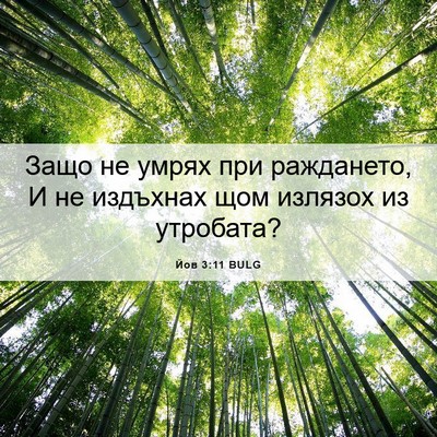 Picture 06 - Йов 3:11 BULG - Защо не умрях при - Bible Verse Picture