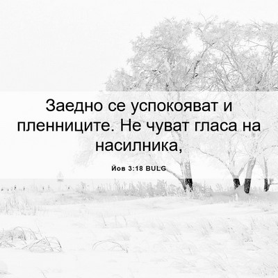 Picture 06 - Йов 3:18 BULG - Заедно се успокояват и - Bible Verse Picture