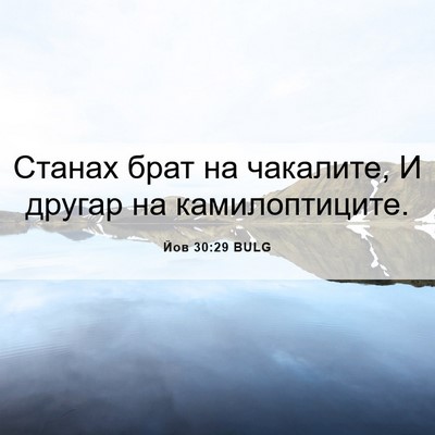 Picture 06 - Йов 30:29 BULG - Станах брат на чакалите, И - Bible Verse Picture