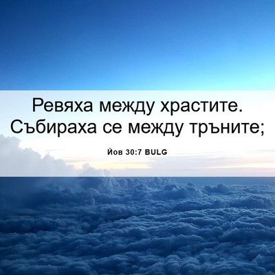 Picture 06 - Йов 30:7 BULG - Ревяха между храстите. - Bible Verse Picture