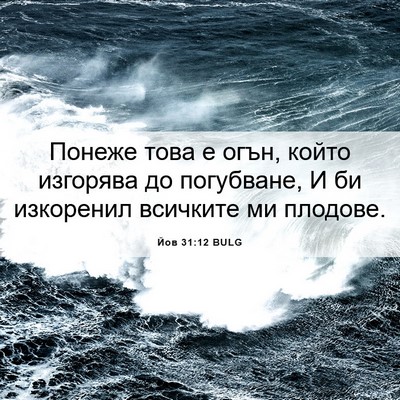 Picture 06 - Йов 31:12 BULG - Понеже това е огън, който - Bible Verse Picture