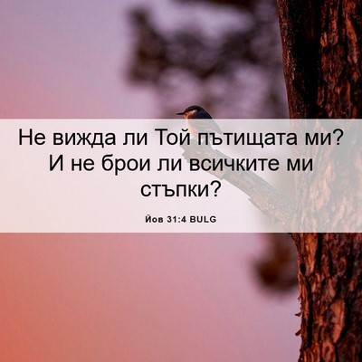 Picture 06 - Йов 31:4 BULG - Не вижда ли Той пътищата - Bible Verse Picture