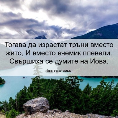 Picture 06 - Йов 31:40 BULG - Тогава да израстат тръни - Bible Verse Picture
