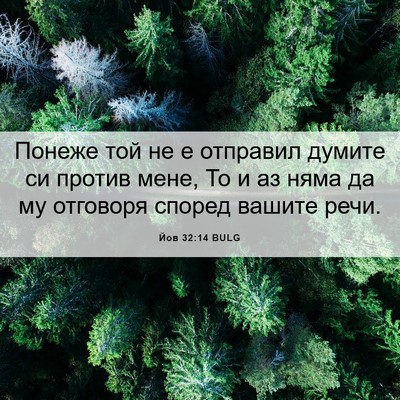 Picture 06 - Йов 32:14 BULG - Понеже той не е отправил - Bible Verse Picture
