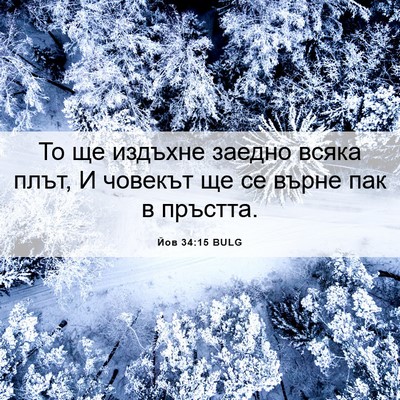Picture 06 - Йов 34:15 BULG - То ще издъхне заедно всяка - Bible Verse Picture