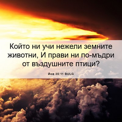 Picture 06 - Йов 35:11 BULG - Който ни учи нежели - Bible Verse Picture