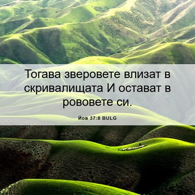 Picture 06 - Йов 37:8 BULG - Тогава зверовете влизат в - Bible Verse Picture