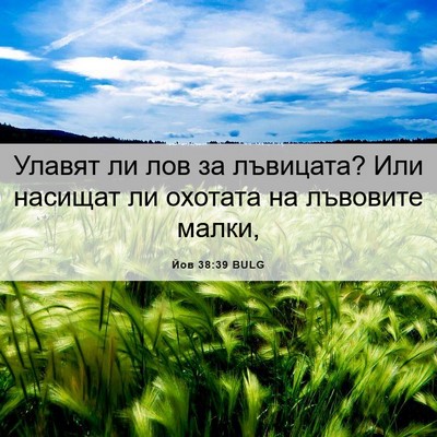 Picture 06 - Йов 38:39 BULG - Улавят ли лов за лъвицата? - Bible Verse Picture