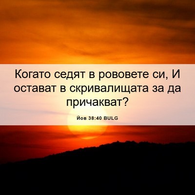 Picture 06 - Йов 38:40 BULG - Когато седят в рововете си, - Bible Verse Picture