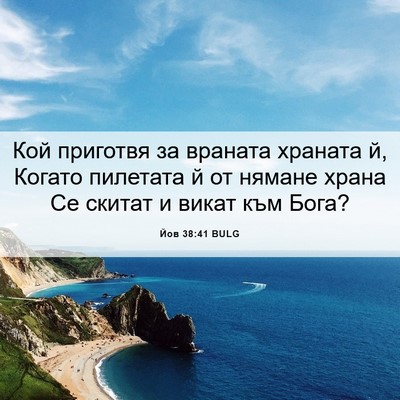 Picture 06 - Йов 38:41 BULG - Кой приготвя за враната - Bible Verse Picture