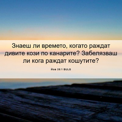 Picture 06 - Йов 39:1 BULG - Знаеш ли времето, когато - Bible Verse Picture