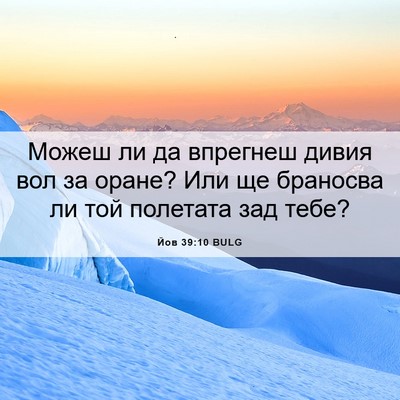 Picture 06 - Йов 39:10 BULG - Можеш ли да впрегнеш дивия - Bible Verse Picture