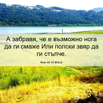 Picture 06 - Йов 39:15 BULG - А забравя, че е възможно - Bible Verse Picture