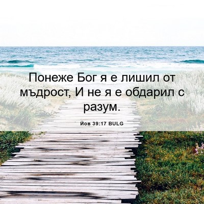 Picture 06 - Йов 39:17 BULG - Понеже Бог я е лишил от - Bible Verse Picture