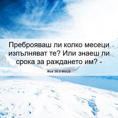 Picture 06 - Йов 39:2 BULG - Преброяваш ли колко месеци - Bible Verse Picture