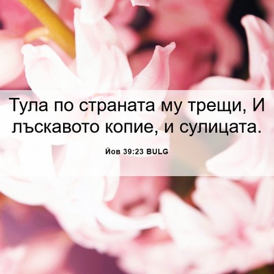 Picture 06 - Йов 39:23 BULG - Тула по страната му трещи, - Bible Verse Picture
