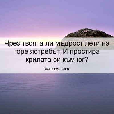 Picture 06 - Йов 39:26 BULG - Чрез твоята ли мъдрост - Bible Verse Picture