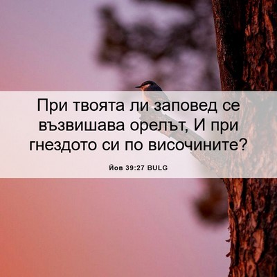 Picture 06 - Йов 39:27 BULG - При твоята ли заповед се - Bible Verse Picture