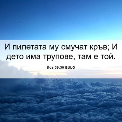 Picture 06 - Йов 39:30 BULG - И пилетата му смучат кръв; - Bible Verse Picture