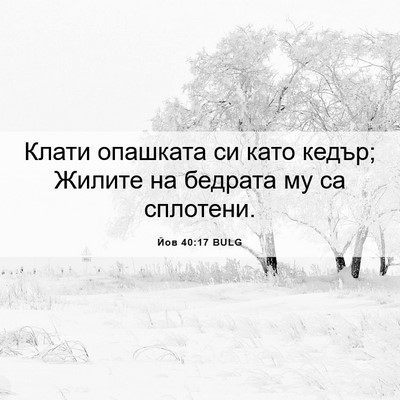 Picture 06 - Йов 40:17 BULG - Клати опашката си като - Bible Verse Picture