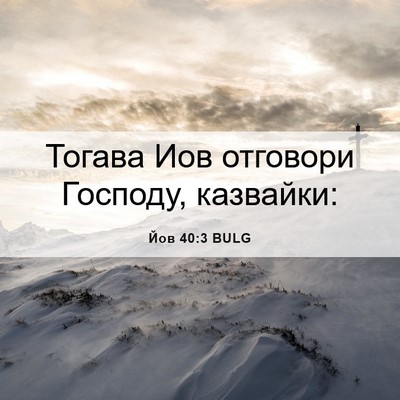 Picture 06 - Йов 40:3 BULG - Тогава Иов отговори - Bible Verse Picture