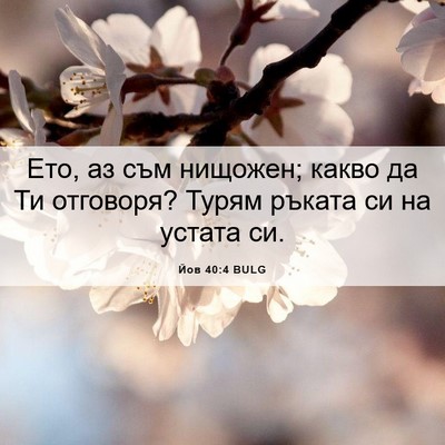 Picture 06 - Йов 40:4 BULG - Ето, аз съм нищожен; какво - Bible Verse Picture