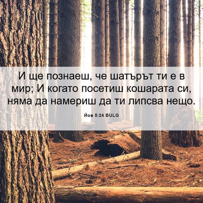 Picture 06 - Йов 5:24 BULG - И ще познаеш, че шатърът ти - Bible Verse Picture