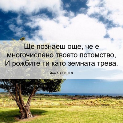 Picture 06 - Йов 5:25 BULG - Ще познаеш още, че е - Bible Verse Picture