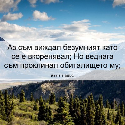 Picture 06 - Йов 5:3 BULG - Аз съм виждал безумният - Bible Verse Picture