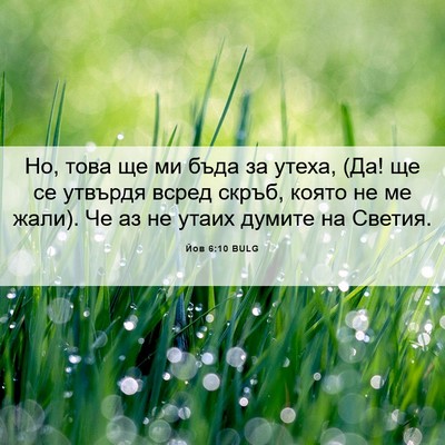 Picture 06 - Йов 6:10 BULG - Но, това ще ми бъда за - Bible Verse Picture