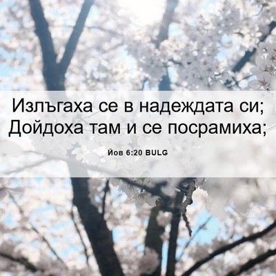 Picture 06 - Йов 6:20 BULG - Излъгаха се в надеждата си; - Bible Verse Picture