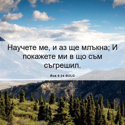 Picture 06 - Йов 6:24 BULG - Научете ме, и аз ще млъкна; - Bible Verse Picture