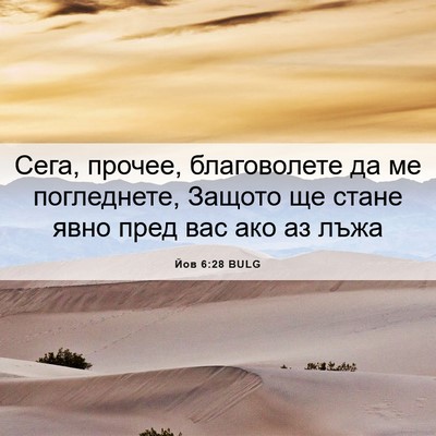 Picture 06 - Йов 6:28 BULG - Сега, прочее, благоволете - Bible Verse Picture