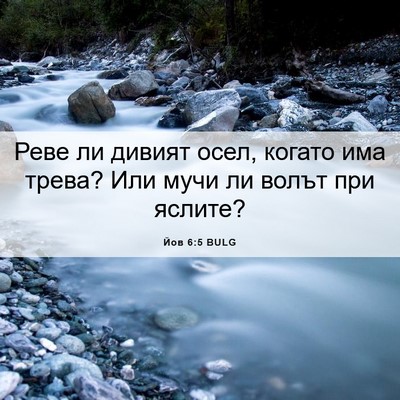 Picture 06 - Йов 6:5 BULG - Реве ли дивият осел, когато - Bible Verse Picture