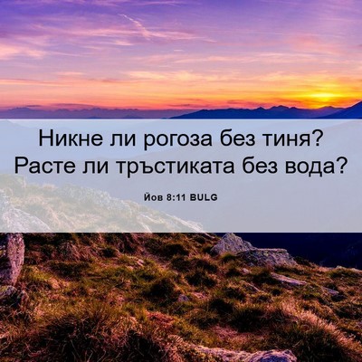 Picture 06 - Йов 8:11 BULG - Никне ли рогоза без тиня? - Bible Verse Picture