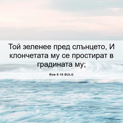 Picture 06 - Йов 8:16 BULG - Той зеленее пред слънцето, - Bible Verse Picture
