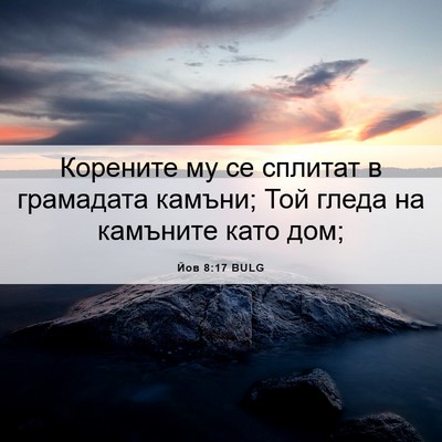 Picture 06 - Йов 8:17 BULG - Корените му се сплитат в - Bible Verse Picture