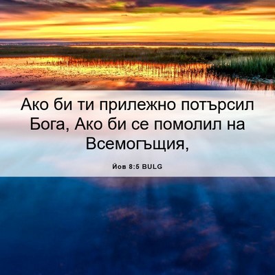 Picture 06 - Йов 8:5 BULG - Ако би ти прилежно - Bible Verse Picture
