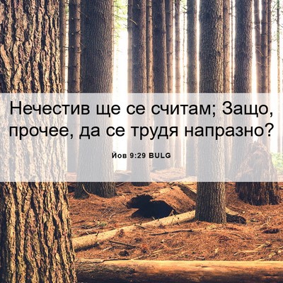 Picture 06 - Йов 9:29 BULG - Нечестив ще се считам; - Bible Verse Picture