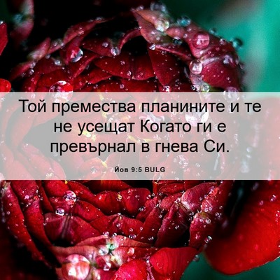 Picture 06 - Йов 9:5 BULG - Той премества планините и - Bible Verse Picture