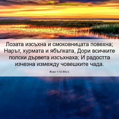 Picture 06 - Йоил 1:12 BULG - Лозата изсъхна и - Bible Verse Picture