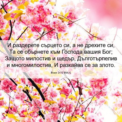 Picture 06 - Йоил 2:13 BULG - И раздерете сърцето си, а - Bible Verse Picture