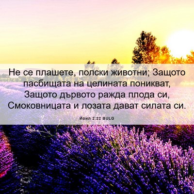 Picture 06 - Йоил 2:22 BULG - Не се плашете, полски - Bible Verse Picture