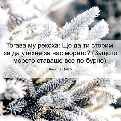 Picture 06 - Йона 1:11 BULG - Тогава му рекоха: Що да ти - Bible Verse Picture