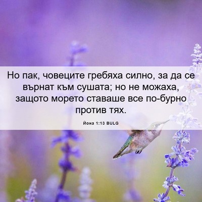 Picture 06 - Йона 1:13 BULG - Но пак, човеците гребяха - Bible Verse Picture