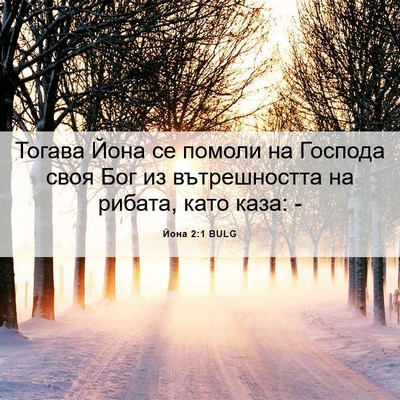Picture 06 - Йона 2:1 BULG - Тогава Йона се помоли на - Bible Verse Picture
