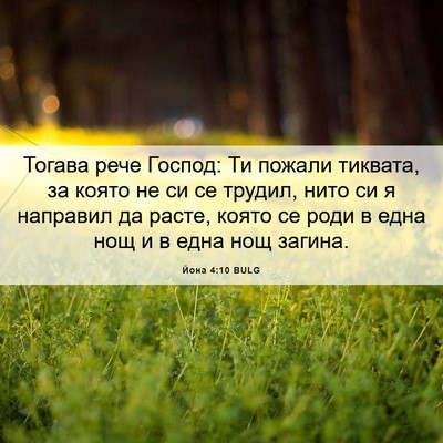 Picture 06 - Йона 4:10 BULG - Тогава рече Господ: Ти - Bible Verse Picture