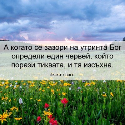 Picture 06 - Йона 4:7 BULG - А когато се зазори на - Bible Verse Picture