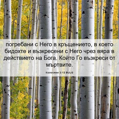 Picture 06 - Колосяни 2:12 BULG - погребани с Него в - Bible Verse Picture